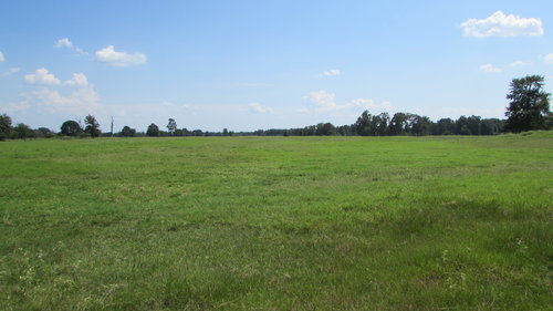 1250 Acres in Bowie County