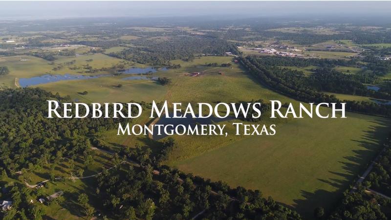 For Sale in Montgomery County, Montgomery, Texas