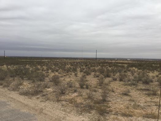 For Sale in Reeves County, Orla, Texas