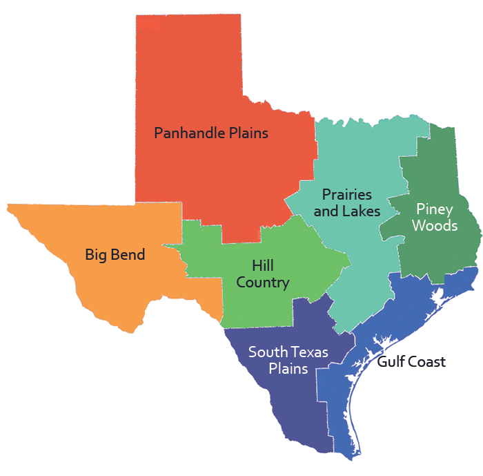 Texas Regions Map With Cities - United States Map