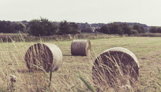 inheriting farmland