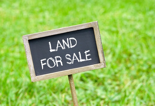 Farm Land for Sale