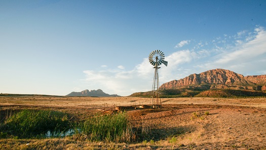 How to be a rancher